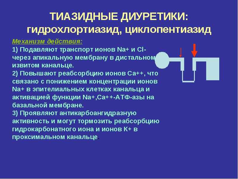 Мочегонное гипотиазид: особенности действия и схема применения