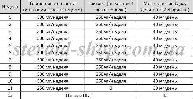 Курс тестостерона энантата: характеристика тестостерона энантата, его плюсы и минусы, побочки и варианты курсов