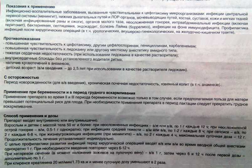 Цефотаксим