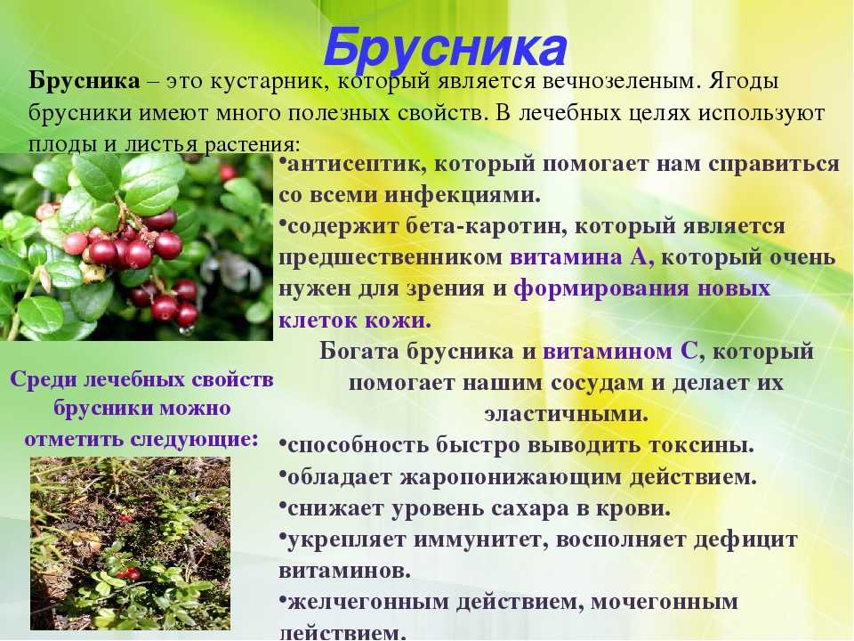 Ягоды при сахарном диабете – разрешенные к употреблению сорта