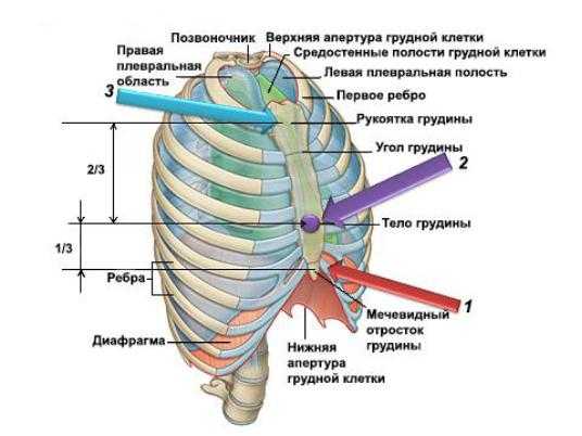 Грыжа брюшной стенки