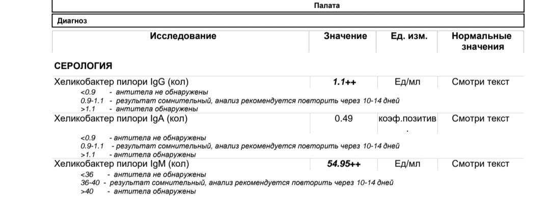 Хеликобактер пилори: лечение, симптомы, тест, анализ, бактерия, норма