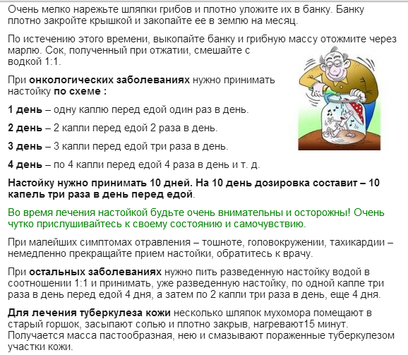 Клизма с чесноком от глистов: эффективность и рецепты чесночной клизмы