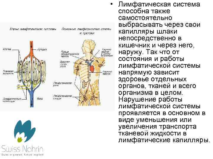 Солодка и энтеросгель