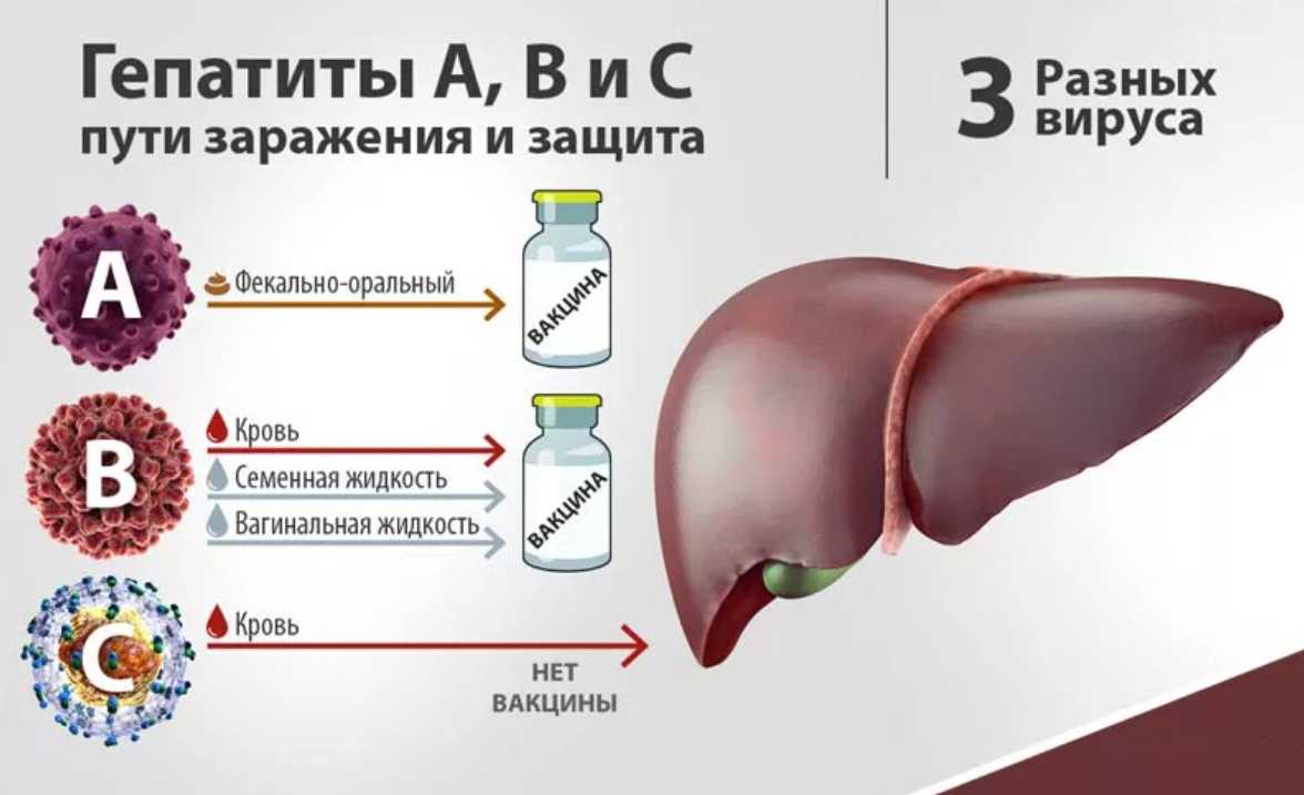 Цвет кала при гепатите с