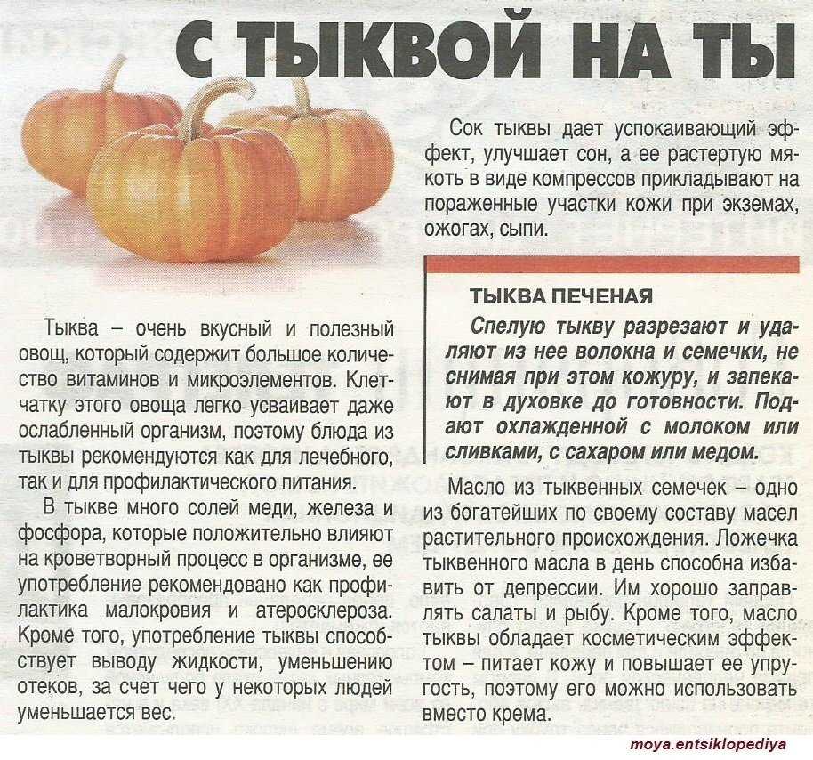 Тыква- польза и вред для организма и здоровья человека