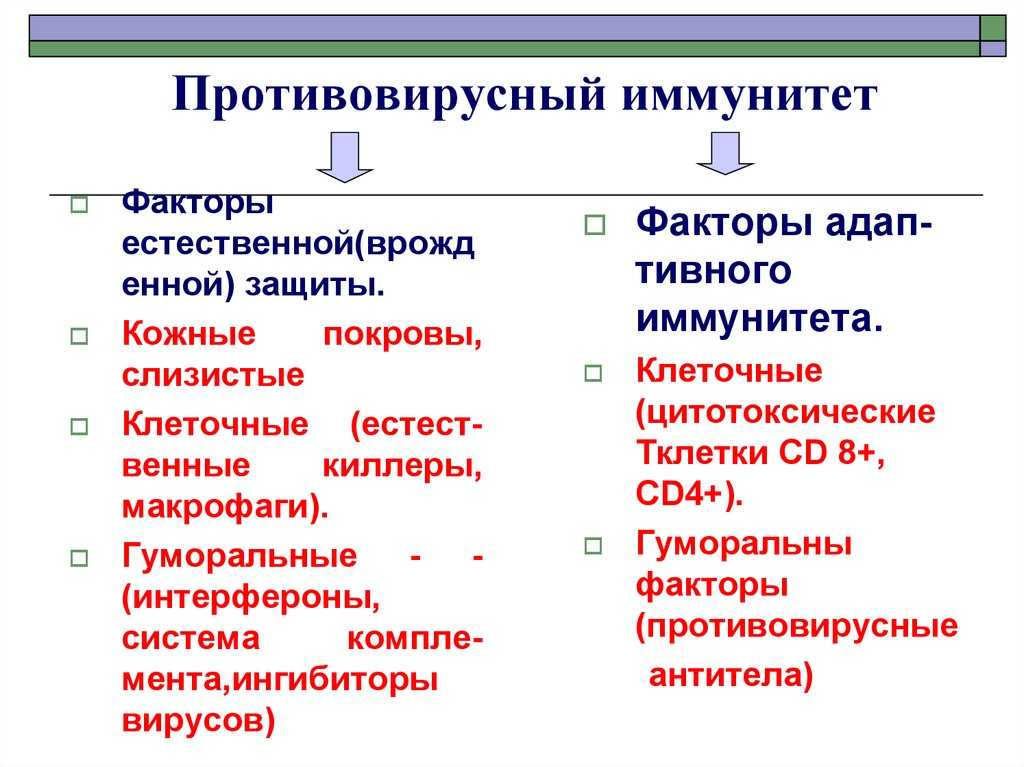 Противовирусный иммунитет человека: как вирусы обманывают его и что с этим делать? – онлайн-академия uniprof