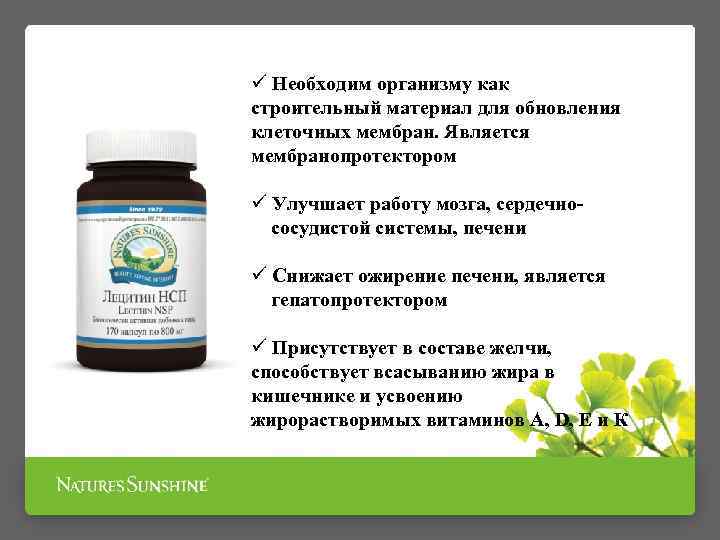 Для чего нужен организму женщины лецитин