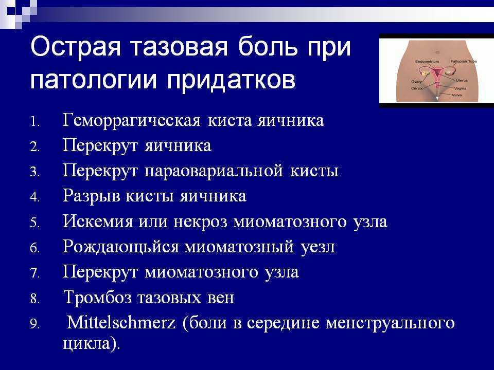 19 причин тазовых болей у женщин, рассказывают врачи «профмедлаб»