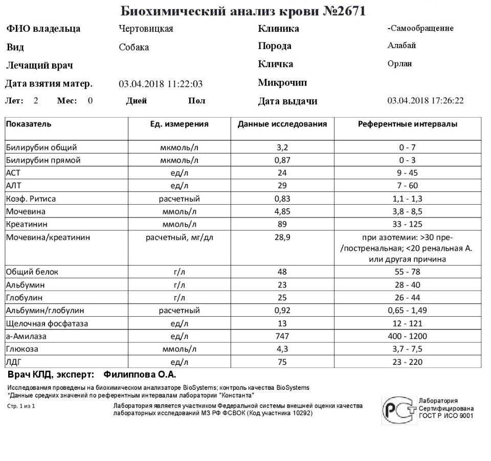 Щелочная фосфатаза повышена в крови: что это значит