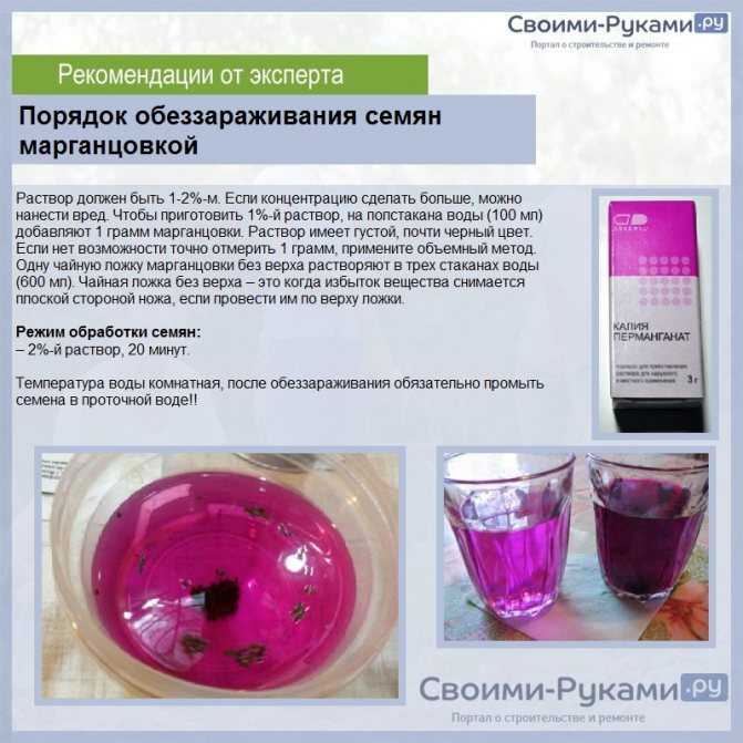 Раствор марганцовки для комнатных растений. — уход за цветами