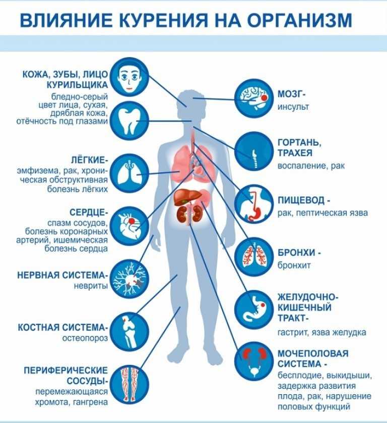Айкос при беременности — можно ли курить, отзывы тех кто курил, вреден ли, влияние на ранних сроках, при грудном вскармливании
