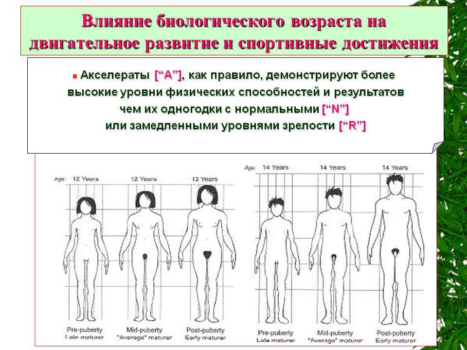 Белый налет на головке полового члена. осложнения | ваш сад