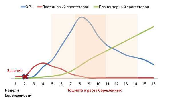 Прогестерон – гормон беременности. анализы и норма для беременных