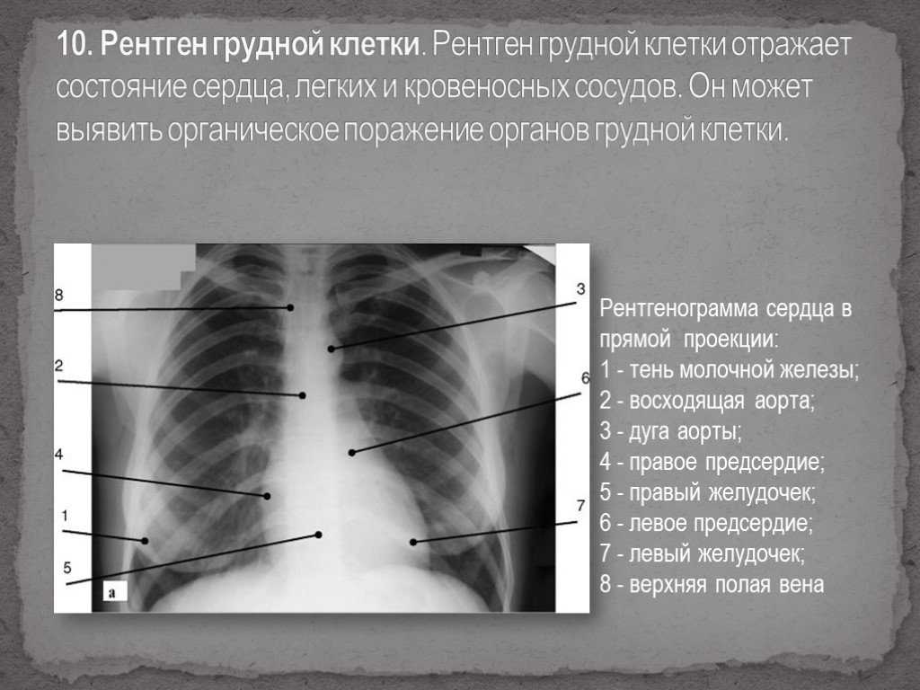 Легкие курильщика и здорового человека – отличия