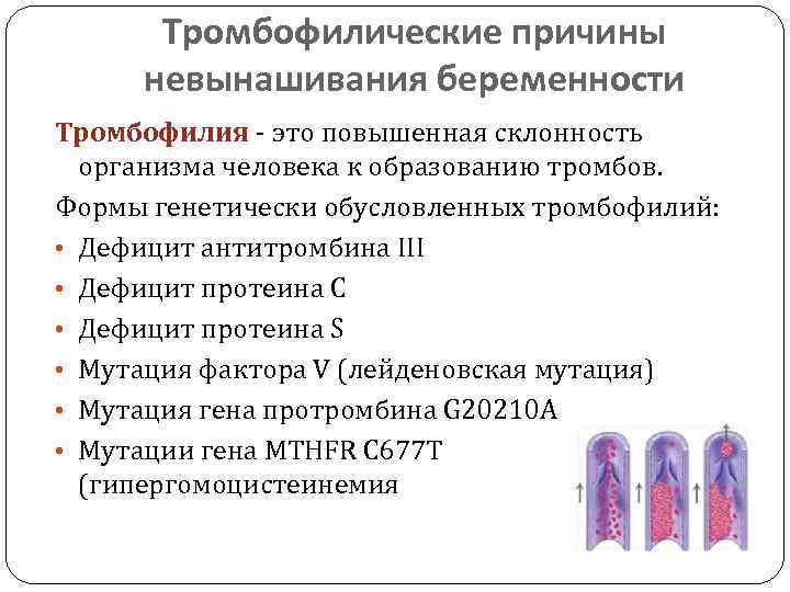 Курантил при беременности – для чего назначают, инструкция по использованию