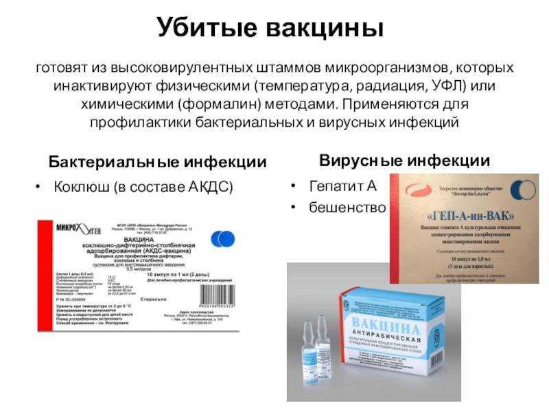 Прививка от бешенства для человека