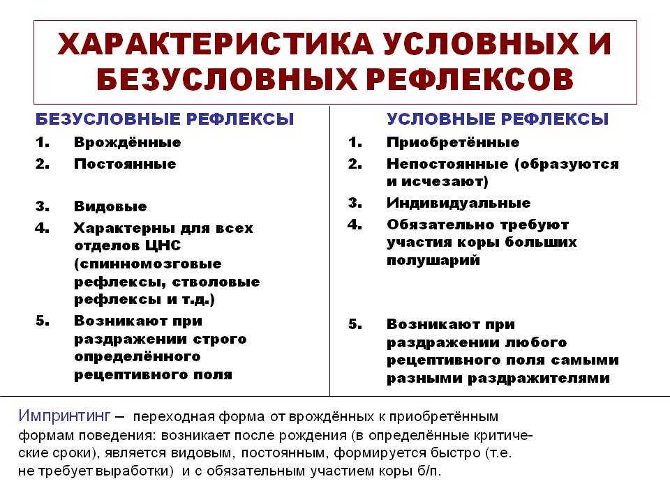 Условные и безусловные рефлексы - определение, классификация и виды