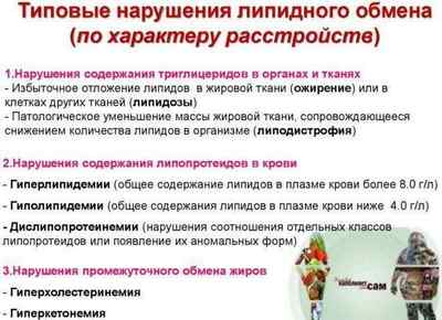 Дислипидемия: причины, лечение, диагностика и классификация
