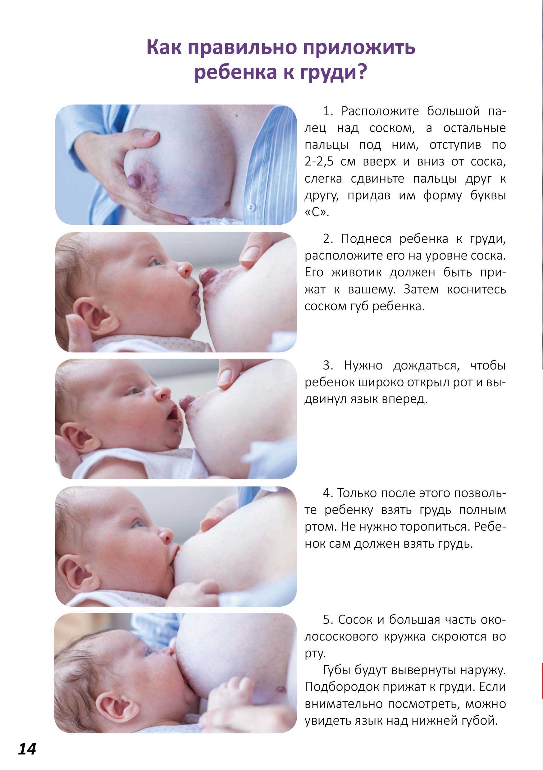 Как набрать вес после родов?