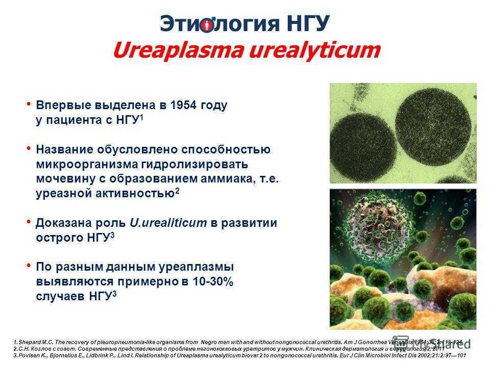 Уреаплазма 10 в 5 степени, что это такое, нужно ли лечить