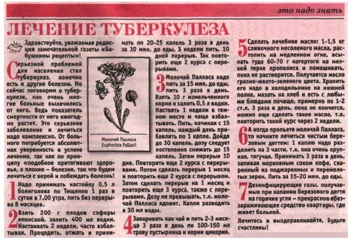 Травы от туберкулеза: какие помогают, рецепты изготовления