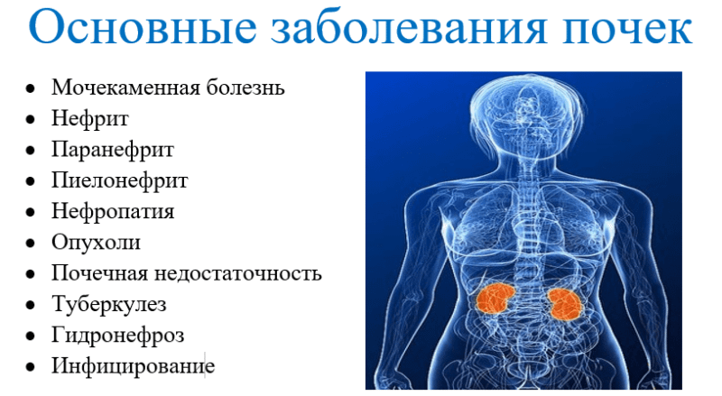 Главные новости калужской области