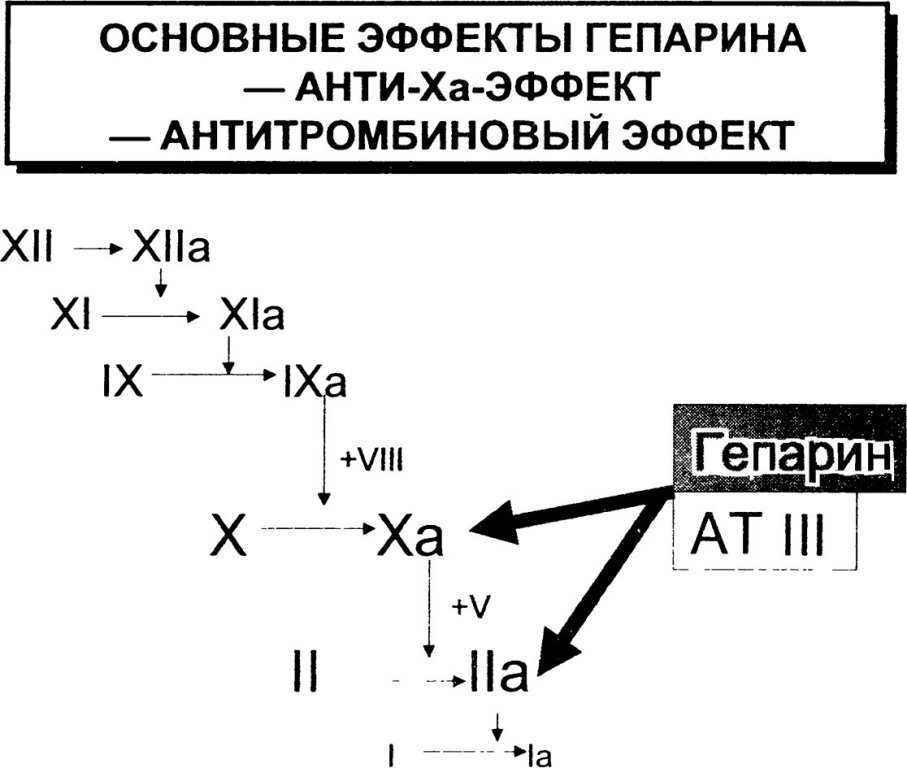 Гепарин (heparin): описание, рецепт, инструкция