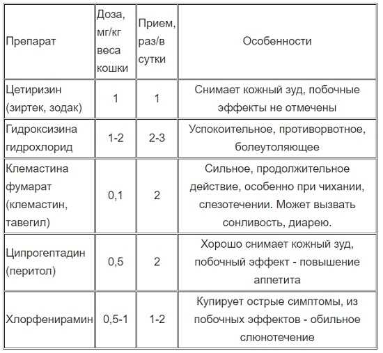 Антигистаминные препараты для кошек от аллергии: таблетки, капли, мази
