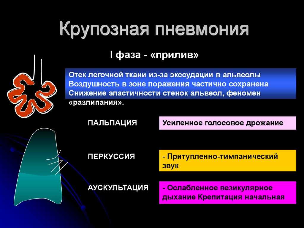 Дополнительные методы исследование. голосовое дрожание и бронхофония